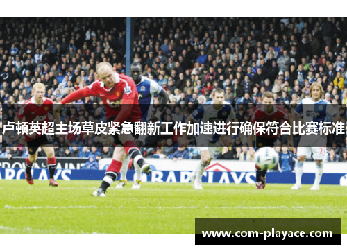 卢顿英超主场草皮紧急翻新工作加速进行确保符合比赛标准