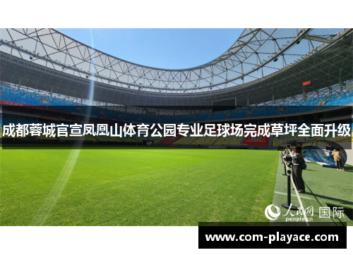 成都蓉城官宣凤凰山体育公园专业足球场完成草坪全面升级 成都蓉城官宣凤凰山体育公园专业足球场完成草坪全面升级